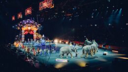 Cómo es la situación actual de los circos con animales en México