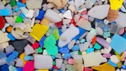 Cómo se generan los microplásticos