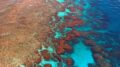 Qué hay en la Gran Barrera de Coral